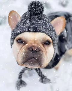 Cappello a maglia per animali con fori per orecchie e pompon per Bulldog francese