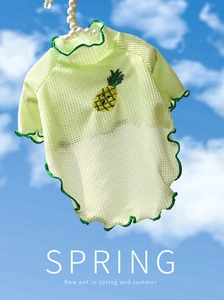 Détail du t-shirt en maille vert clair pour chien avec broderie d'ananas et volants