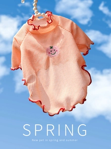 Détail du t-shirt orange clair pour animal en maille gaufrée avec volants rouges et broderie