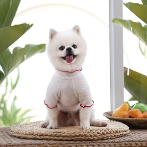 Détail du pull en tricot gaufré blanc avec bords ondulés rouges pour petit chien