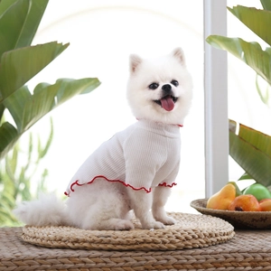 Gros plan d'un t-shirt gaufré blanc pour chien avec bordure ondulée rouge