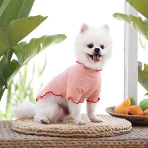 T-shirt gaufré rose pour animaux avec volants rouges porté par un chien Loulou