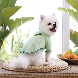 Gros plan sur t-shirt pour chien en tissu gaufre vert avec broderie ananas et volants