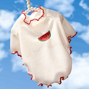 T-shirt en maille pour animaux avec volants rouges et broderie pastèque sur ciel bleu