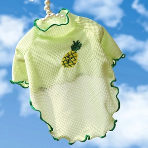 T-shirt en maille vert clair pour chien avec broderie d'ananas et bords à volants