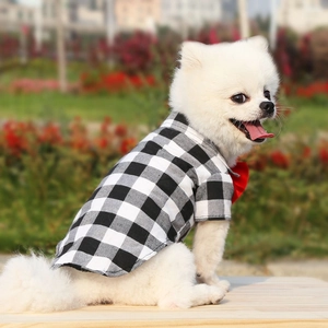 Detail of plaid pet shirt with red bowtie on a white Pomeranian in outdoor setting