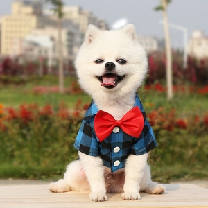 Blue plaid pet formal shirt with large red bow tie and white buttons for small dogs