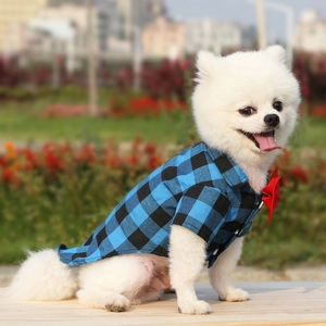 Blue and black plaid pet shirt with red bow tie shown on small dog in outdoor sunlight