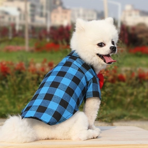 Close-up of blue plaid pet shirt with red bowtie worn by white Pomeranian dog