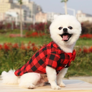 Outdoor shot of a small white dog wearing a red and black plaid shirt with a red bowtie