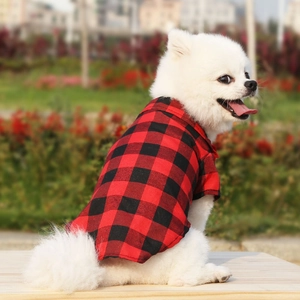 Detailed view of red and black plaid dog shirt with classic collar on a pet outdoors