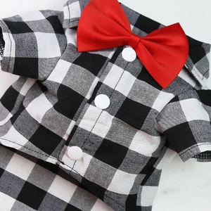 Detail of pet tuxedo shirt with black and white gingham pattern and red bow tie