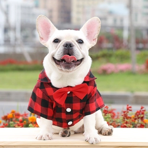 French Bulldog wearing a red and black buffalo plaid pet shirt with a bright red bowtie