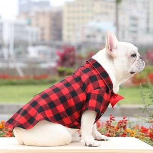 French Bulldog wearing a red plaid shirt and bowtie sitting on a wooden platform