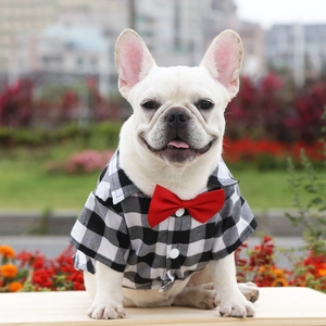 Plaid dog wedding shirt with red bowtie for French Bulldogs and small medium large pets