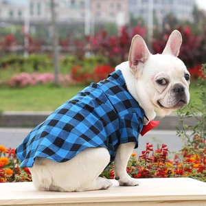 French Bulldog wearing a blue plaid pet shirt with a red bowtie in an outdoor setting