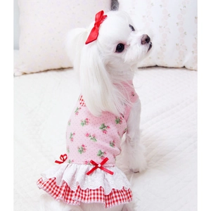 Robe de princesse rose fleurie pour animal avec nœud rouge et dentelle sur un petit chien
