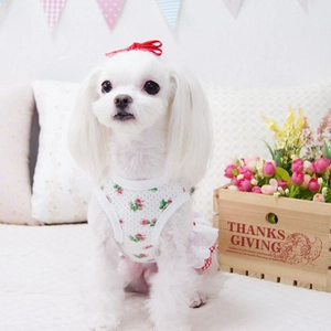 Robe de princesse florale pour petits chiens et chats avec dentelle blanche et fleurs roses