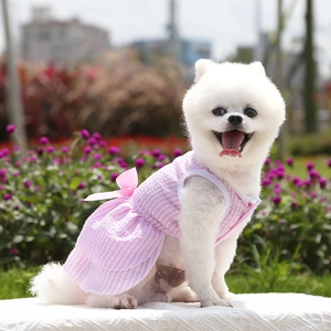 Detail of pink plaid dog dress with double-layered ruffles and silk bow on a Pomeranian