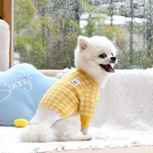 Close-up of small dog wearing a yellow checkered knit sweater with a smiley heart patch