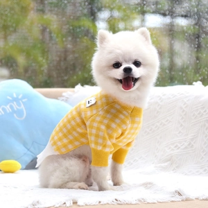 Close-up of yellow and white plaid knit dog sweater with ribbed cuffs and B letter patch