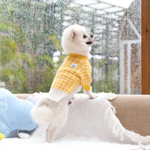 Detail of yellow checkered dog sweater with smile patch on a white Pomeranian