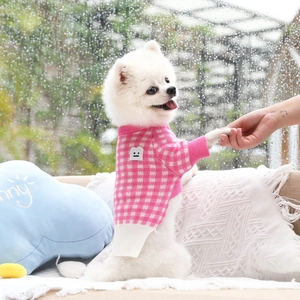 Close-up of pink and white checkered knit sweater with a smiley face patch on a dog