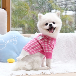 Detail of pink and white checkered knit sweater on a white Pomeranian dog indoors