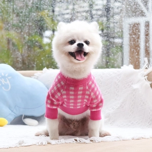 Pink and white checkered pet knit sweater shown on a Pomeranian in a cozy home setting