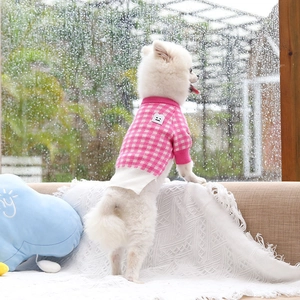 Close-up of pink and white checkered pet sweater with a smiley patch on a Pomeranian