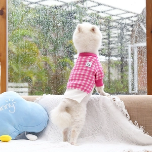 Close-up of a pink and white checkered knit sweater on a white dog for winter warmth