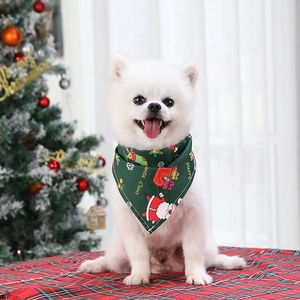 Close-up of a white Pomeranian wearing a green Christmas bandana with Santa Claus patterns
