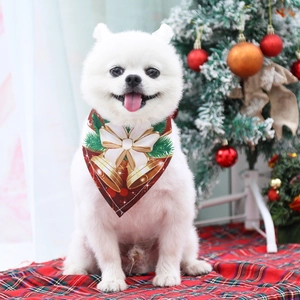 Close-up of a white Pomeranian dog wearing a festive Christmas bandana with gold bells