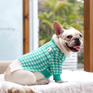 French Bulldog wearing a warm green and white checkered pet sweater in a cozy garden