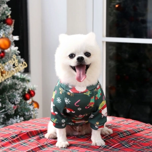Close-up of a white Pomeranian wearing a festive dark green Christmas dog hoodie
