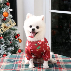 Detail of Christmas dog hoodie with festive Santa print on soft red cotton fabric