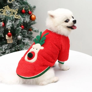 Petit chien Loulou de Poméranie portant un pull de Noël rouge avec motif de renne