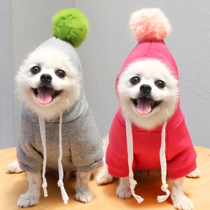 Sweat à capuche pour petit chien avec pompons colorés et cordons de serrage ajustables