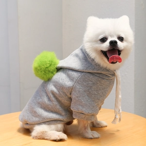 Détail d'un sweat à capuche gris pour chien avec pompon vert vif et cordon blanc sur la capuche