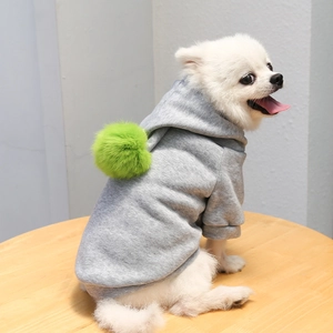 Détail d'un sweat à capuche gris pour chien avec pompon vert porté par un petit chien