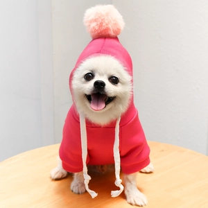 Gros plan d'un sweat à capuche rose pour chien avec pompon pelucheux et cordons blancs