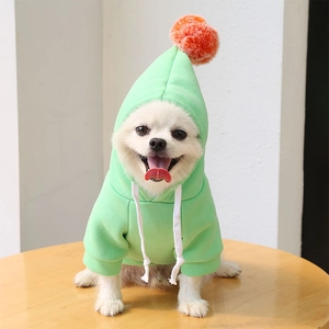 Sweat à capuche pour animaux vert clair avec grand pompon orange pour chiens et chats