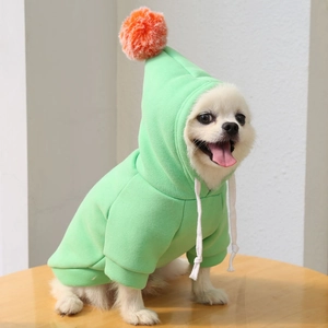 Détail d'un sweat à capuche vert menthe pour chien avec pompon orange et tissu tricoté