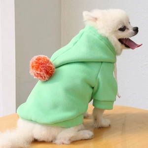 Détail d'un sweat à capuche pour animaux vert menthe avec pompon orange et cordons blancs