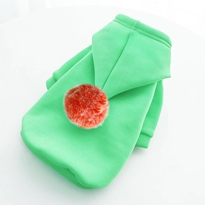 Détail du sweat à capuche vert pour animaux avec pompon orange pour petits chiens