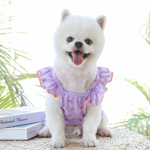 Détails d'une robe florale pour animal en violet avec manches à volants et bordure