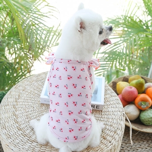 Gros plan d'un gilet rose à fleurs pour animal avec col à volants sur un petit chien