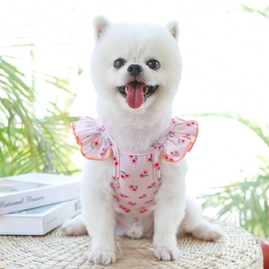 Détail d'une robe rose à fleurs pour chien avec des volants sur un petit chien