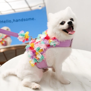 Détail du harnais pour chien lavande avec fleurs en mousseline et clip métallique