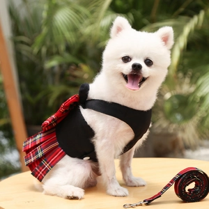 Detalle de arnés vestido para mascota con falda a cuadros rojos y correa a juego